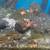 110 Gallon tall aquarium breakdown sale 16 thumbnail