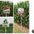 LOOKING FOR AGRICULTURAL SIGNS 1 thumbnail