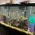 55 gallon aquarium with stand, fish, and light 3 thumbnail