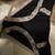 Womens underwear 4 thumbnail