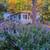 Los Gatos Mountain Cottage for rent 1 thumbnail