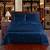 Firm Price! Brand New in a Package Queen Size Satin Sheets Set 4 thumbnail
