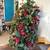 Small lighted Christmas tree 1 thumbnail