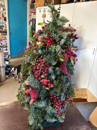 Small lighted Christmas tree 1