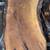 Live Edge Boards 2.00-3.00 per board foot 21 thumbnail