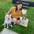 Local Dog Training in Austin - "Mindful Training" 6 thumbnail