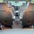 2012 GMC Acadia SLT-1    15 thumbnail