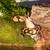 Rehoming Ball Python w/ Everything 4 thumbnail