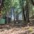 Price Drop* 4.33 acres 11 thumbnail