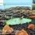 Aquarium Neocaridina Shrimp for Sale 1 thumbnail