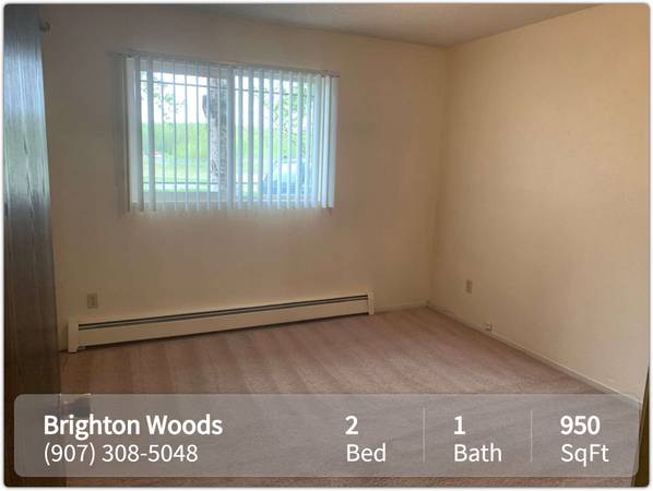 $1,560 / 2br - 950ft2 - Chilly nights are about to get cozier! Fireplace included! (Anchorage - Near JBER)64014001650947120