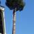 California handyman 6 thumbnail