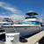 42' Hatteras Convertible 1977 2 thumbnail