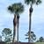Tree service 19 thumbnail