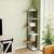 6-Tier Corner Shelf Stand, Modern Storage Organizer, 56" Display Stora 1 thumbnail
