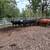 Bred cows 21 thumbnail