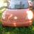 1999 an 2003 vw beetle 1 thumbnail