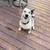 Cute happy sweet girl needs a home 2 thumbnail
