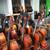 Open 9:00-5:30 with 370 Violin, Viola, Cello, Bass Insts. 23 thumbnail