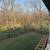 brush clearing-skidsteer work 13 thumbnail
