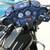 Harley Davidson for Car Hauler 2 thumbnail