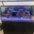 Red sea reefer s650 aquarium fish tank 3 thumbnail