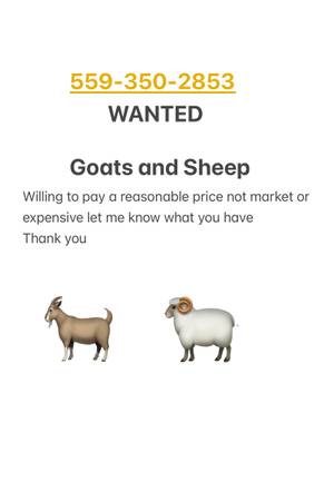 Wanted Goats and Sheep 1