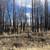 #13 Yellow Pine Road ~ 10.4 Acres ~ Hiking trail on Property!! 12 thumbnail