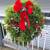 Royal Princess Pine Christmas Wreaths 4 thumbnail