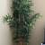 Fake Trees 6' 1 thumbnail