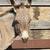 Miniature Donkeys Mating pair 5 thumbnail