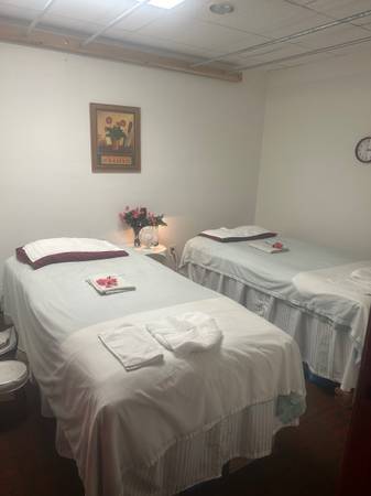 Professional Spa(Couple /Four hands massage) 1