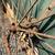 Steel wheel antique 3 thumbnail