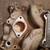 Edelbrock Intake Manifold 5001 9 thumbnail