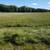 2025 First Crop Grass Mix Hay 10 thumbnail