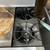 Stratus 60" Gas Restaurant Range 48" Manual Griddle & 2 Burners 4 thumbnail