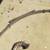 Nissan Xterra Leaf Spring, Shocks, Lift Shackles, and U Bolts 3 thumbnail
