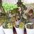 PLANT-LARGE STAG FERN IN CLAY POT 11 thumbnail