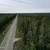 0.98-acre heavily wooded parcel in Funny River 6 thumbnail
