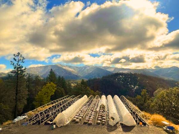 $475,000 / 2br - 3009996ft2 - 🌿 Hayfork – 69 Acres w/ CEQA Cannabis License + Home & Shop – $475K (Hayfork)63972531138050122
