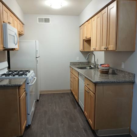 $1,365 / 1br - 548ft2 - Move-In Ready 1x 1 W/Wood-Like Flooring & Granite Counters (Bullard)63873104508547120
