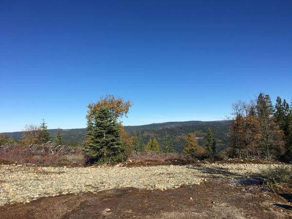 $199,000 Reduced Panoramic Views 107 Acres with Mineral, Timber  and Water (Nevada City)63952104499971123