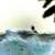 AT SEA, Wild Pacific Retreat 8 thumbnail