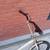 Single Speed Folding Bike. With rear-shock 20" rims, Fat Tires! 3 thumbnail