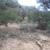 Duchesne, Utah Land for Sale 8 thumbnail