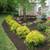 Flowering Shrubs, Ornamental Shrubs, Bushes Evergreen Shrubs 16 thumbnail