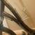 21 Speed RALEIGH VENTURE 3.0 Step Thru Hybrid Bicycle 14 inch frame 2 thumbnail