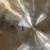 20" Saluda ping ride cymbal 4 thumbnail