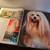 Giant Book of DOGS 4 thumbnail