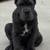 Cane corso 1 thumbnail